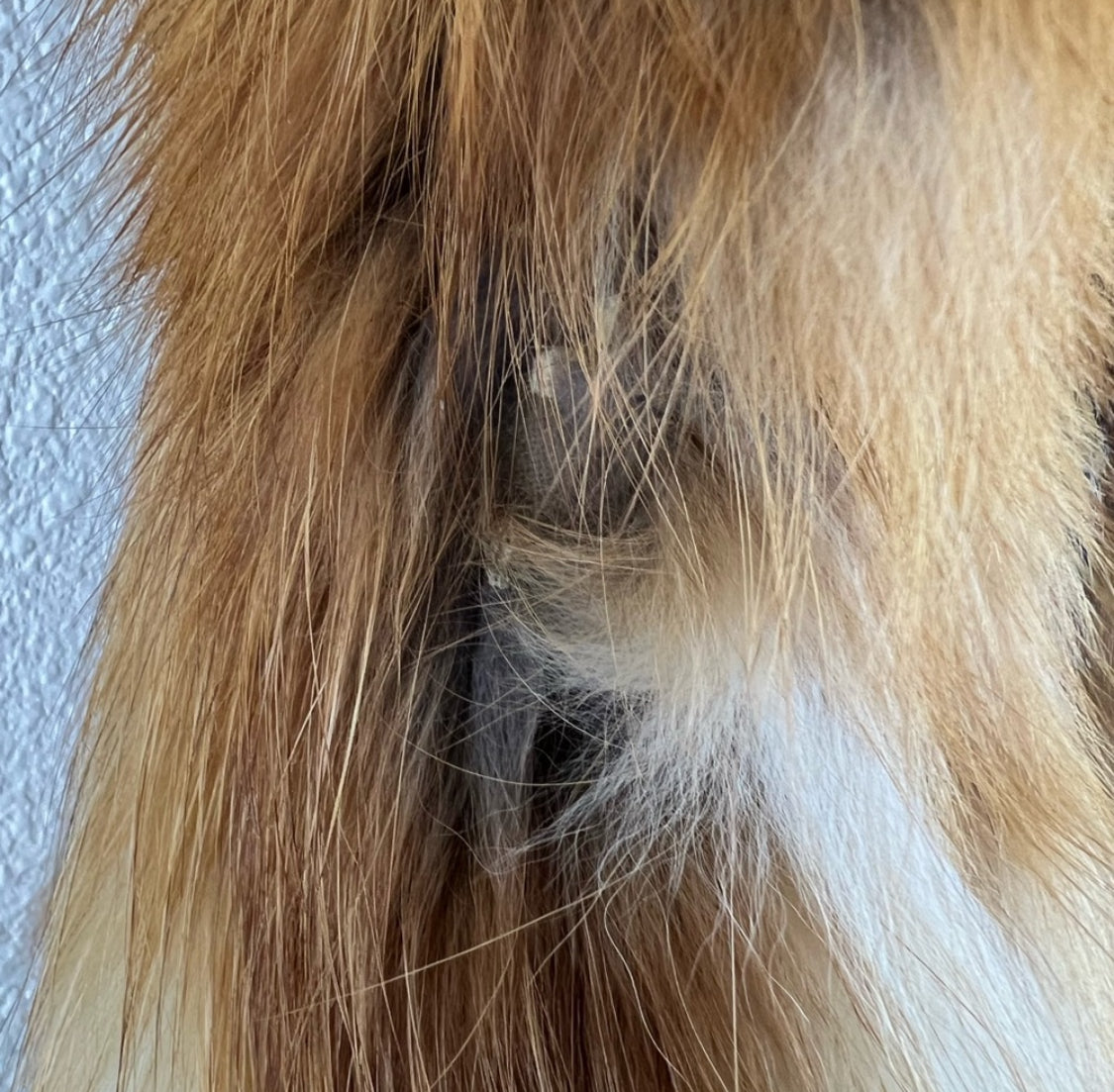 Luxurious Genuine Vintage Red Fox Fur Coat