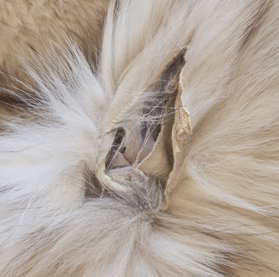 Luxurious Genuine Saga Fox Blue Fox Fur Coat